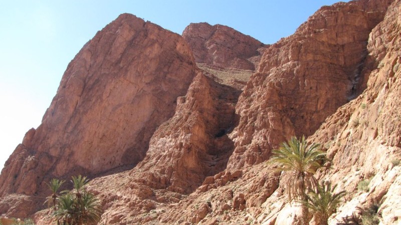 Todra19